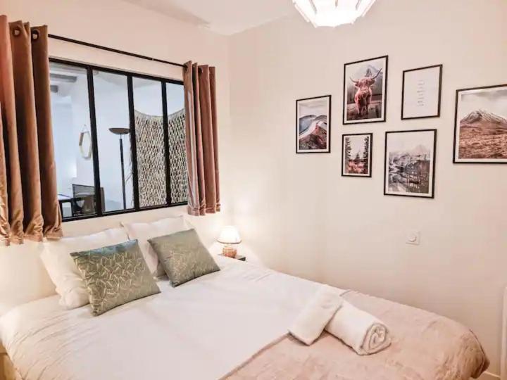 Le T3 Du Carnot Apartman Annecy Kültér fotó